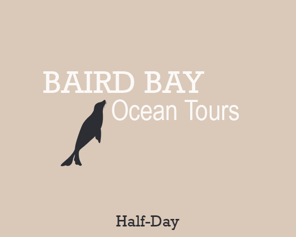 Baird Bay Ocean Tours